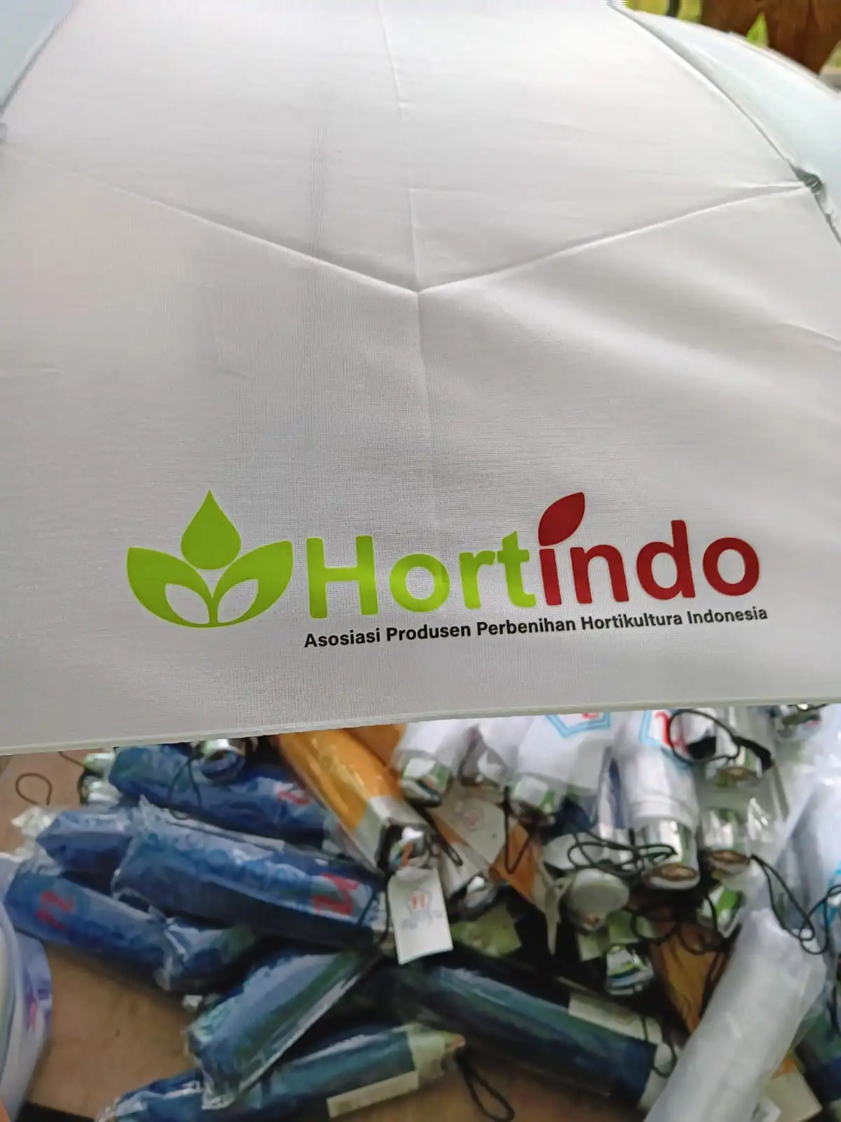 payung hortindo